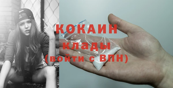 твердый Осташков