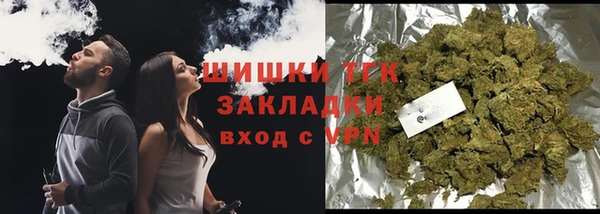 твердый Осташков