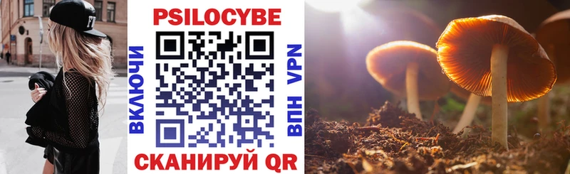 закладки  Ликино-Дулёво  Псилоцибиновые грибы Cubensis 